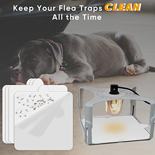15 Pcs 6" Flea Trap Refills Compatible With Terro T230 T231 Indoor Electric Flea Light Flea Trap And Flea Killer, Flea Trap Refill Discs Replacement Glue Boards #TOP3