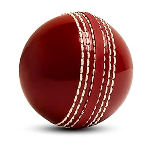 Cricket Balls for Training, Coaching, Practice & Excellent Bounce Skills Soft Foam Rubber Cricket Ball with Durable Traditional Seams Stitched for All Age Players
