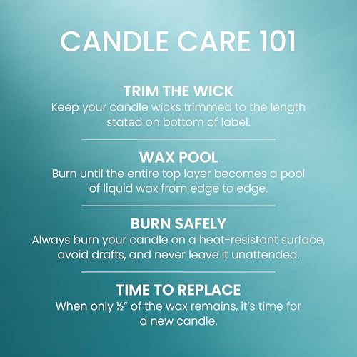 Yankee Candle Large Jar Scented Candle with up to 150 Hour Burn Time, Premium Plant Wax Blend for Consistent Burn, 22 oz Jar Candle with Room Filling Fragrance, Catching Rays