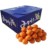 鮮ど市場 熊本産 みかん 2Sサイズ 3kg