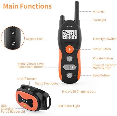 Petinn dog training collar Clearance