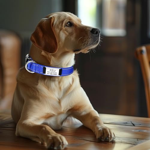 Hundehalsband Personalisiert mit Namen und Telefonnummer, Nylon Hundehalsband Leuchtend mit Gravur, Verstellbare Größen für Große Mittlere Hunde
