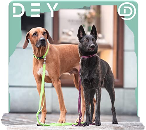 DEY - Premium Hundehalsband Nylon, Reflektierend, Verstellbar, für Kleine u. Große Hunde, viele Farben u. Größen, Hund Welpe, Hunde-Halsbänder, Katzen-Halsband, Welpen-Halsband, Grün, S