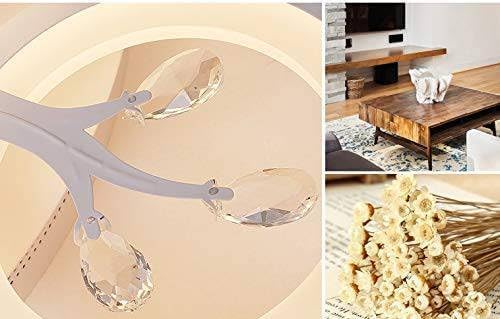 Image of 6 Light 60-Watts White Crystal LED Chandelier Lamp - Round (5+1 Circle Warm) with Remote Control