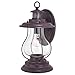 Dockside Bronze Motion Sensor Dusk to Dawn Outdoor Wall Light Coastal Clear Glass