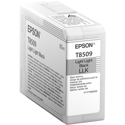 Epson C13T850900 Cartouche d'encre d'origine Noir Clair Amazon Dash Replenishment est prĂŞt