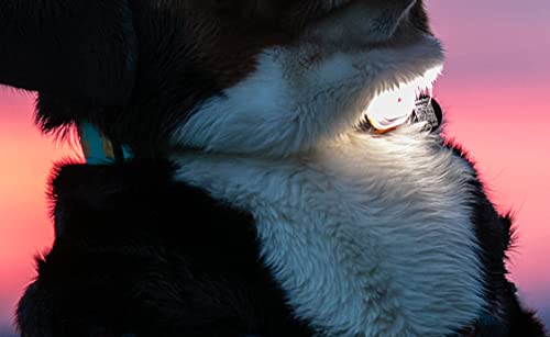Max & Molly Usb Rechargeable Ultra Bright Led Light, 100% Waterproof, Stretch Silicone Brand Securely Attaches As Essential Safety Dog Collar Light For Nightime Walking, Running, Kayaking & Biking #TOP4