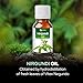 Nirgundi Oil (Vitex negundo) Therapeutic Essential Oil 100% Natural & Pure Undiluted Uncut Cold Pressed Aromatherapy Premium Oil Therapeutic Grade - 30 ML