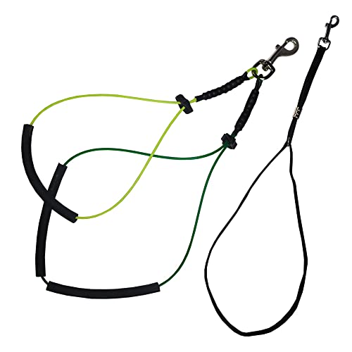 Downtown Pet Supply - Dog Grooming Arm With Grooming Loop And Clamp For Pet Grooming Table - Dog Grooming Supplies - 36In Purple Adjustable Steel Arm With 19In & 21In Small/Medium No Sit Haunch Holder #TOP3