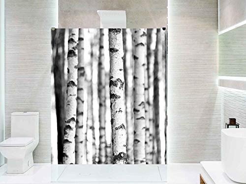 Oedim Vinilo para Mamparas de Ducha y Baños Troncos de Árbol Blanco y Negro | 120x185cm | Adhesivo Resistente y de Fácil Aplicación | Pegatina Adhesiva Decorativa de Diseño Elegante