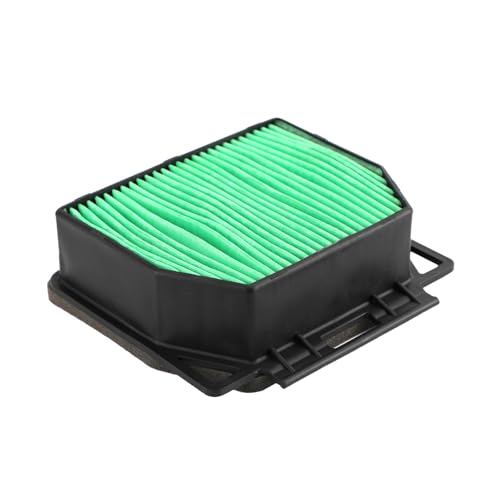 Filtre à air moto pour CB125R CB250R CB300R et CBF250 de 2018 à 2020