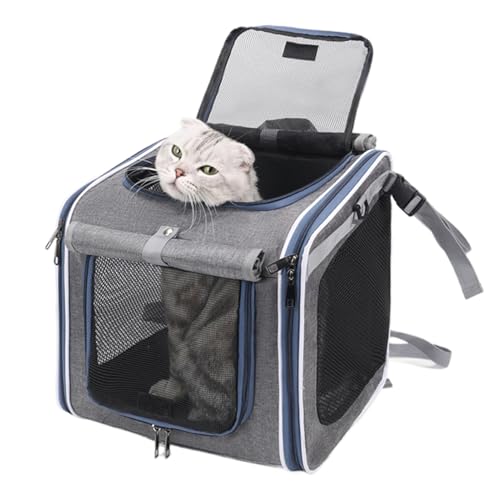 Trasportino per cani da bici: cestino per animali domestici ventilato in rete, borsa da bici pieghevole, trasportino sicuro per cani, compagno di viaggio | per ciclismo all'aperto Famiglia Pendolarism