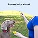 PetSafe Clik-R Training Tool – Clicker Trainer for Dogs – Positive Reinforcement – Dog Training Marker – All Stages of Life – Ergonomic Design – Clear Click Sound