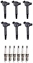 ENA Set of 6 Ignition Coil Pack and 6 Spark Plug Compatible with Toyota Lexus Avalon Camry Rav4 Sienna Venza Highlander IS350 RX450h ES350 2.5L 2.7L 3.5L Replacement for UF487