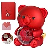 Real Rose Bear Gift Box - Romantic Cute Teddy Hug Bear with Preserved Eternal Real Red Rose Flower for Her Women Girlfriend Valentine's Day - Rotating Jewelry Necklace Box with Gift Bag & Card