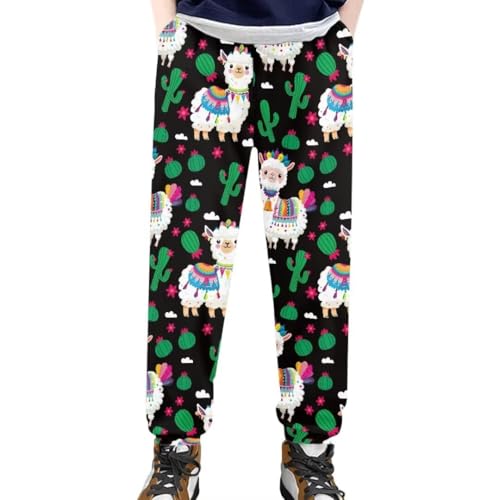 Pinupub Boys Girls Jogger Sweatpants Cute Animal Print Elastic Waist Stretch Casual Sports Pants