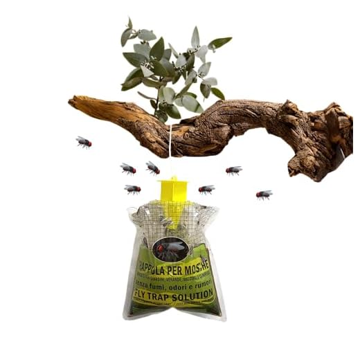 Eco-Friendly Organic Fly Trap Solution