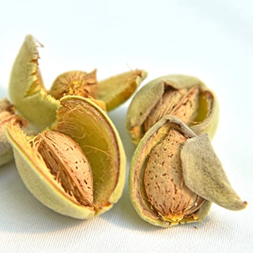 Mandelin Roasted Natural Diced Almonds thumb #6
