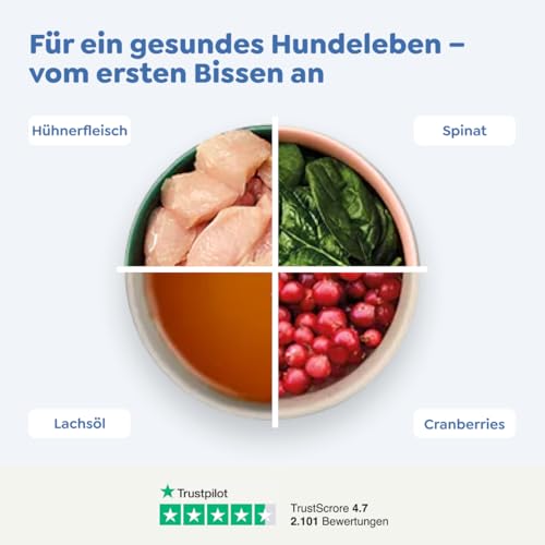 WOW Dog Hunde Trockenfutter Huhn | für ausgewachsene Hunde, 32% Fleischanteil, getreidefrei | 6 kg / 2er Pack