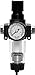 Ross Controls 5D01C0110 Bantam Series Integrated Filter/Regulator, Piston, Auto Drain, Polycarbonate Bowl, 5 ?m Polyethylene Filter, 0-160 (0-11) Gauge, Threaded Ports 3/8" BSPP