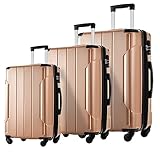 Flieks 3 Piece Luggage Set, Lightweight Hardshell Spinner Travel Suitcase with 4 wheels and TSA Lock (20''24''28'', Champagne)