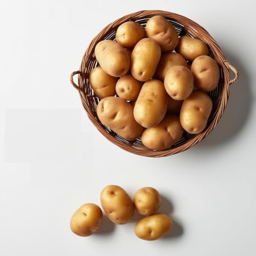 How Much Is A Hand Planer