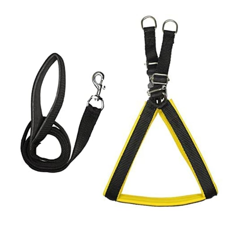Yucky Fur Harness for Dog with Adjustable Leash Dog Soft Comfortable Breakaway Closure Combo Pack 2 Leash Harness Black Large (B0CV6357NP) Amazon Price History, Amazon Price Tracker