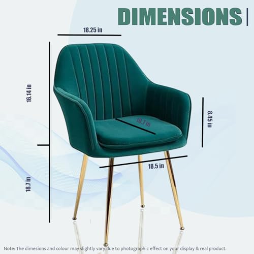 Image of Velvet Chair with for Home | Modern Accent Armchair in Soft Velvet Fabric with Golden Legs | Set of 2 Premium Accent Chair for Living Room Bedroom (Light Brown Floral) (Green floral pillow)