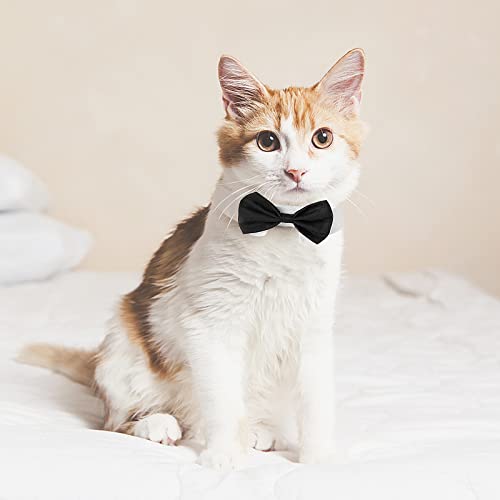 COBEE Cobee Smokinghalsband für Hunde und Katzen, verstellbar, Hochzeit, formelle Welpen, Kostüm, Krawatte