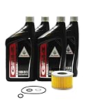 2006-2023 Honda Rincon 680 TRX680 FA FGA GPScape 4X4 Camo OEM Oil Change Kit H30