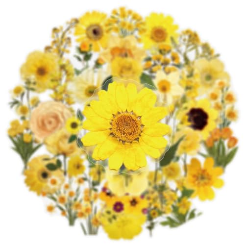 Image of Aesthetic Flowers Stickers Transparent Flora Scrapbook Stickers(Y) | Transparent & Waterproof Sticker for Scrapbook Journal Water Bottle Kindle, DIY Crafts, Party Supplies