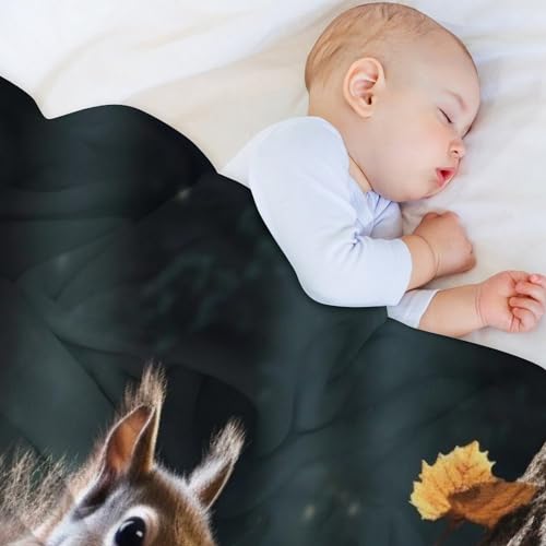 Manta de forro polar con diseño de ardilla para cama y sofá 4