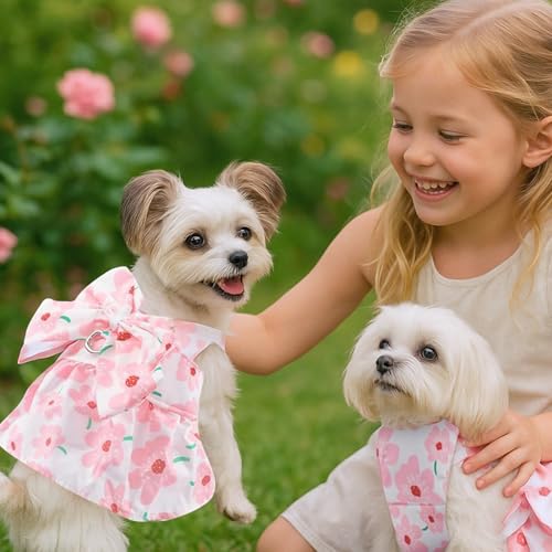 Hundekleid für weibliche Kleine Hunde,Hund Kleider Geschirr und Leine,Dog Kleid für kleine Hunde,Sommerkleid für small Haustiere,Mädchen-Hundekleid für Kleine,Mittelgroße Haustiere (L)