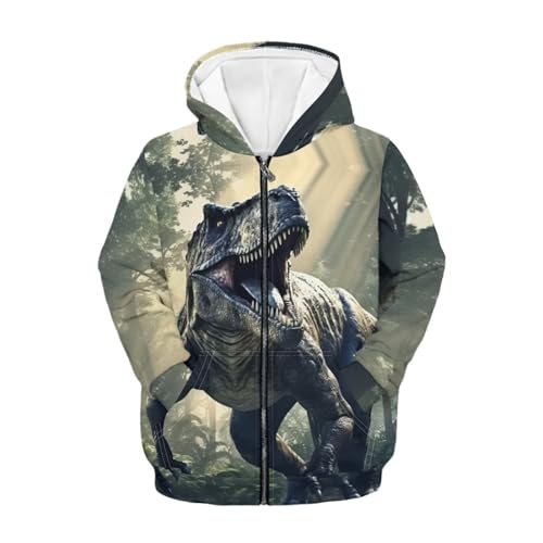 HUIACONG Dinosaur Zip Up Hoodie Boys 8-10 Hoodies Long Sleeve Shirt for Kids Sweatshirts Casual Hooded Pullover Outwear Pullover Novelty Sweatshirt3
