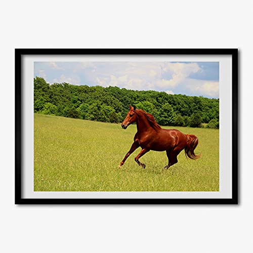 Cadre MDF Tulup 70x50 pour Habiller un Mur Vide avec le Tableau Cheval Sur Le Pré Style Moderne