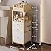 Makeup Organizer Cart with Drawers, Floor Skincare Organizers Make Up Organizers-Vanity Organizer Cosmetic Display Cases Holder for Skin Care Perfume Nail Polish Brush Hair Tool（Gold）