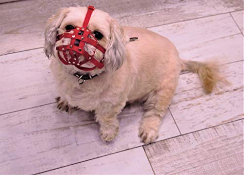 L&J Pets Uk Bozal de perro para Shih Tzu, Pug y otros hocicos cortos de cara plana (M2, negro) (M2, azul) Cover