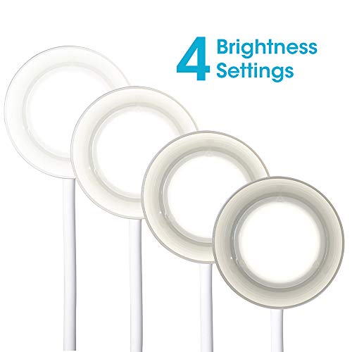 Ottlite Clarify Led Desk Lamp With 4 Brightness Settings – Touch Activated Controls, Modern White Design, Clearsun Led Lighting, Flexible Neck, For Work, Study, Reading, Crafting #TOP2