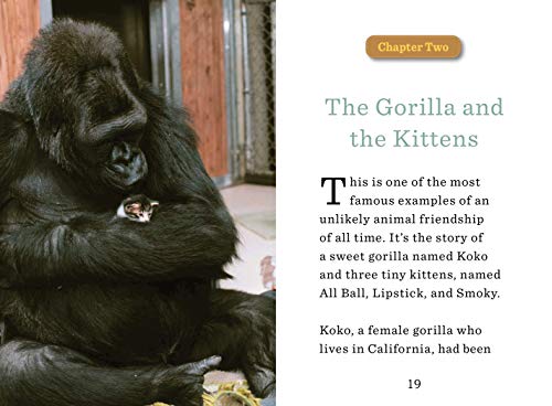 Unlikely Friendships for Kids: The Leopard & the Cow: And Four Other Stories of Animal Friendships - Image 3