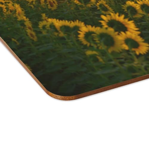 Napperons de table souples anti-rayures | Lot de 4 sets en liège imperméables lavables - 4