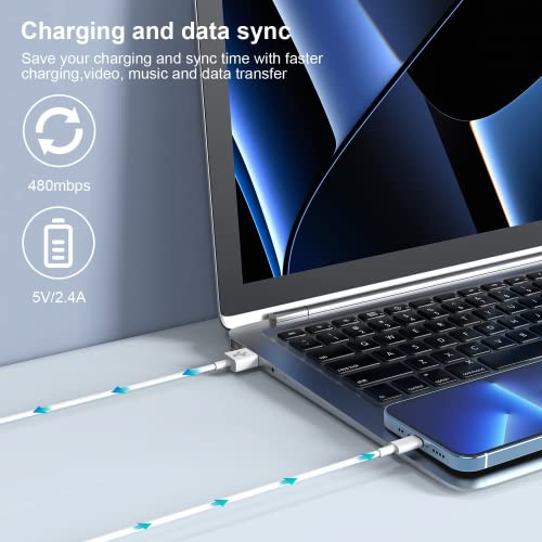 iPhone Ladekabel 1M, 2er Pack 3ft iphone 11 usb auf lightning kabel – Ansicht 3