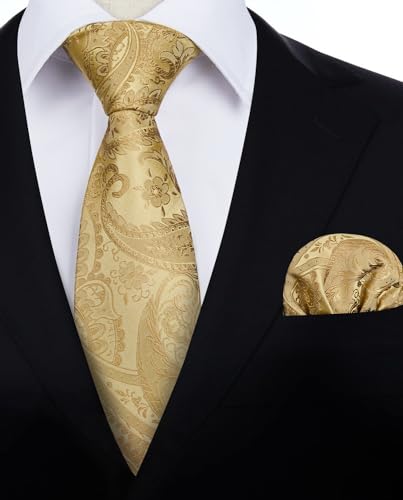 Image of HISDERN Ties for Men Paisley Floral Mens Ties and Pocket Square Cufflinks Set Classic Business Necktie Handkerchief