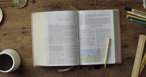 ESV Study Bible (TruTone, Pink, Fleur-de-lis Design): Holy Bible, English Standard Version - image 3