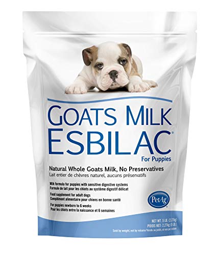 puppy formula powder