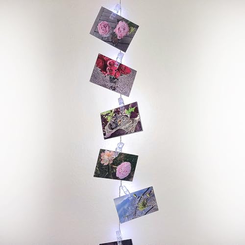 Cartes postales de 15,2 x 10,2 cm avec pinces LED pour chambre ado