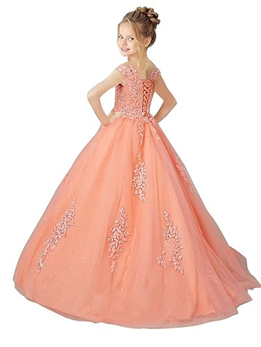 Off Shoulder Tulle Pageant Dress Lace Applique Flower Girl Dress Ball Gown Toddler Kids Birthday Party Dress2