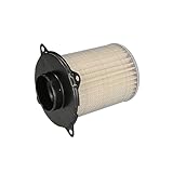 Hiflofiltro HFA3803 Premium OE Replacement Air Filter