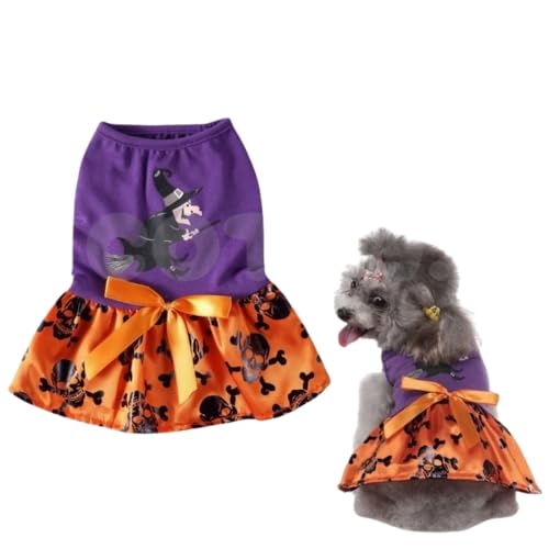  L nEB s[X RXv  RX`[  ^ ^  ڂ RE  Ȃ肫 hbOEFA  COTEN (D^Cv, L)