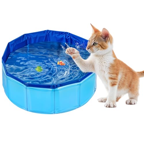 Piriuuo Schwimmbecken für Katzen, 30 x 11 cm Katzenplanschbecken Faltbarer Haustierpool aus PVC, rutschfest Verschleißfest Katzenbadewanne Sommer Schwimmbad Schwimmbecken Für Hund Katze Piriuuo Schwimmbecken für Katzen, 30 x 11 cm Katzenplanschbecken Faltbarer Haustierpool aus PVC, rutschfest Verschleißfest Katzenbadewanne Sommer Schwimmbad Schwimmbecken Für Hund Katze