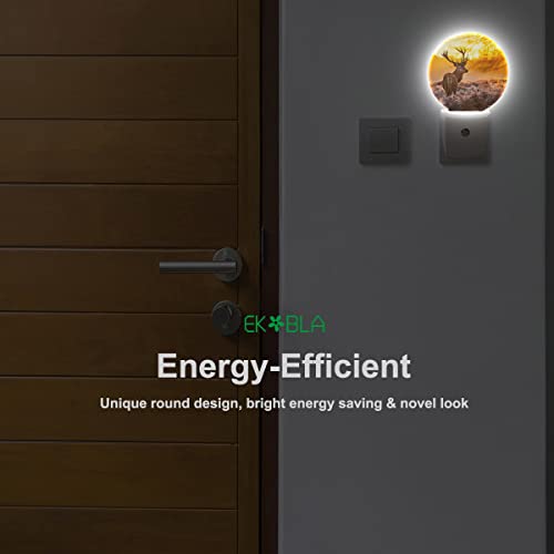 Image of EKOBLA Reindeer Night Light, Elk Deer Wildlife Nature Scene Night Lights Plug Into Wall with Auto On /Off for Home Decor and Women Gifts